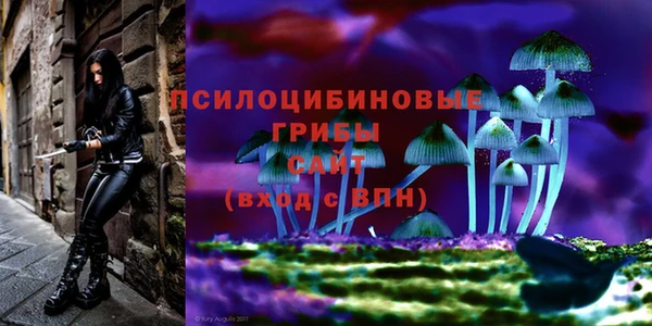 меф Армянск