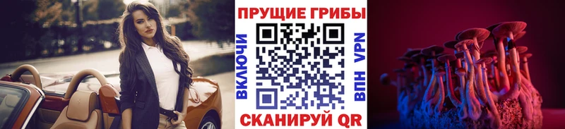 Галлюциногенные грибы Cubensis  Таруса 